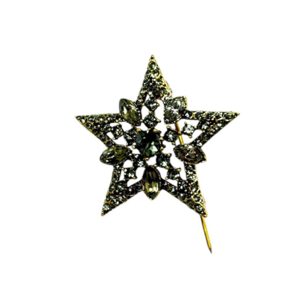 Yıldız Diomand Otantik Broş